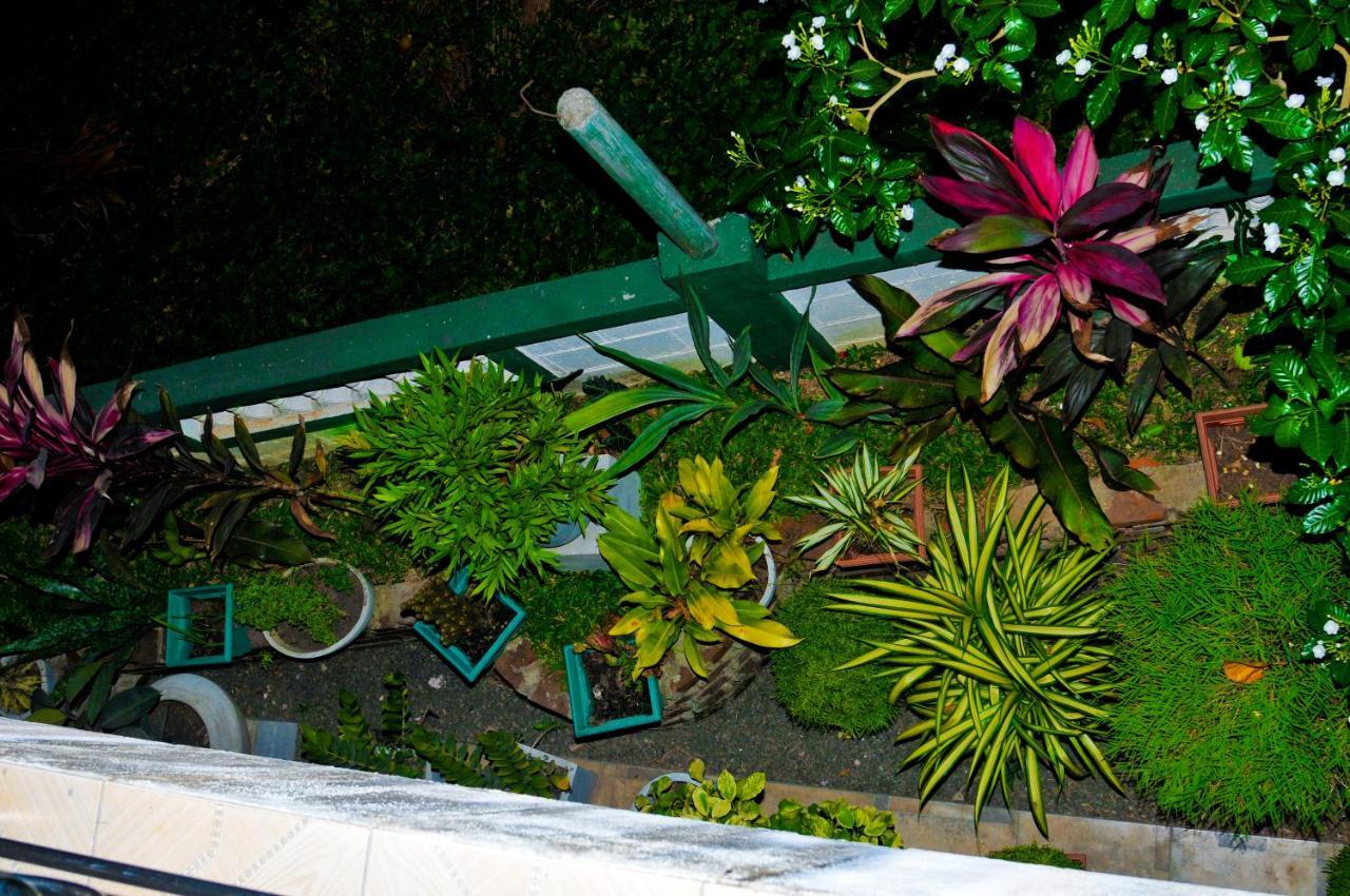 Myr-O Homestay Kombichankulama Buitenkant foto