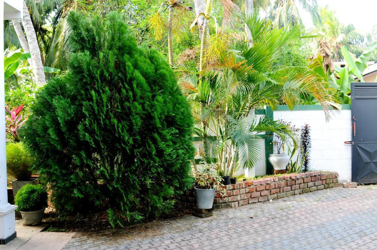 Myr-O Homestay Kombichankulama Buitenkant foto