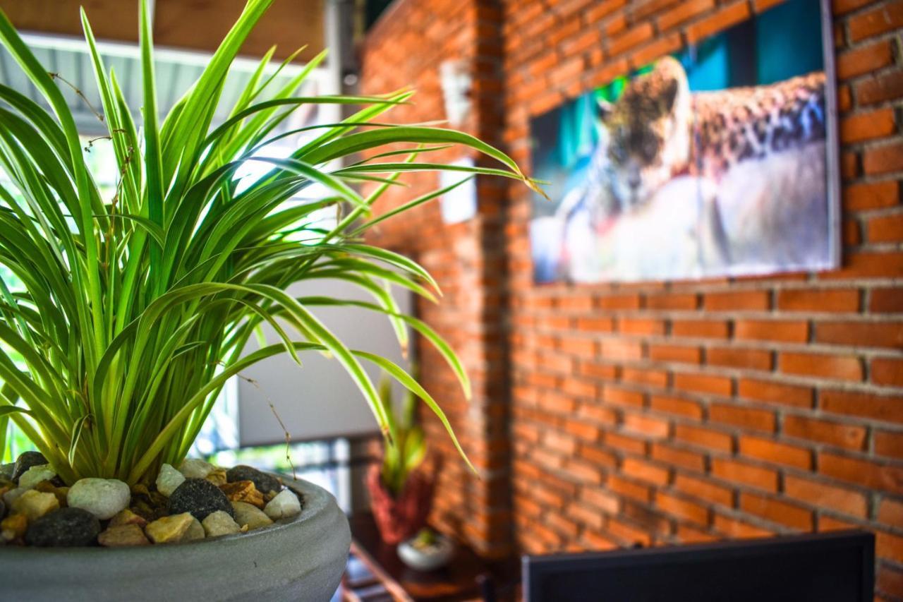 Myr-O Homestay Kombichankulama Buitenkant foto